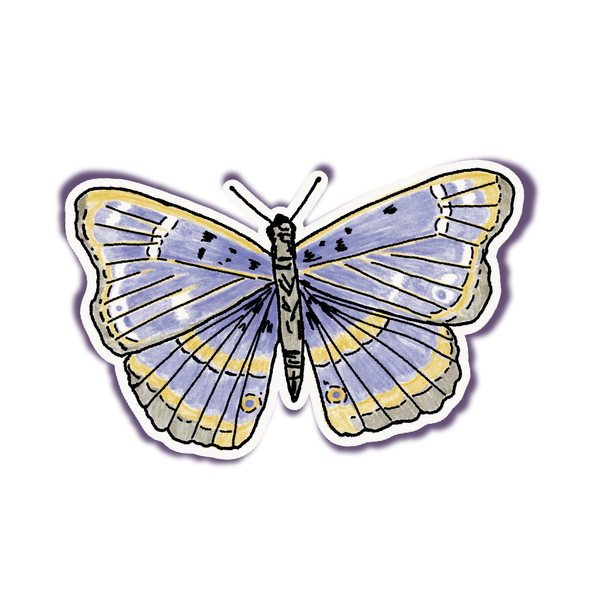 butterfly vinyl sticker