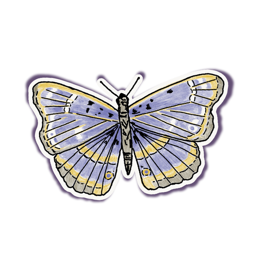butterfly vinyl sticker